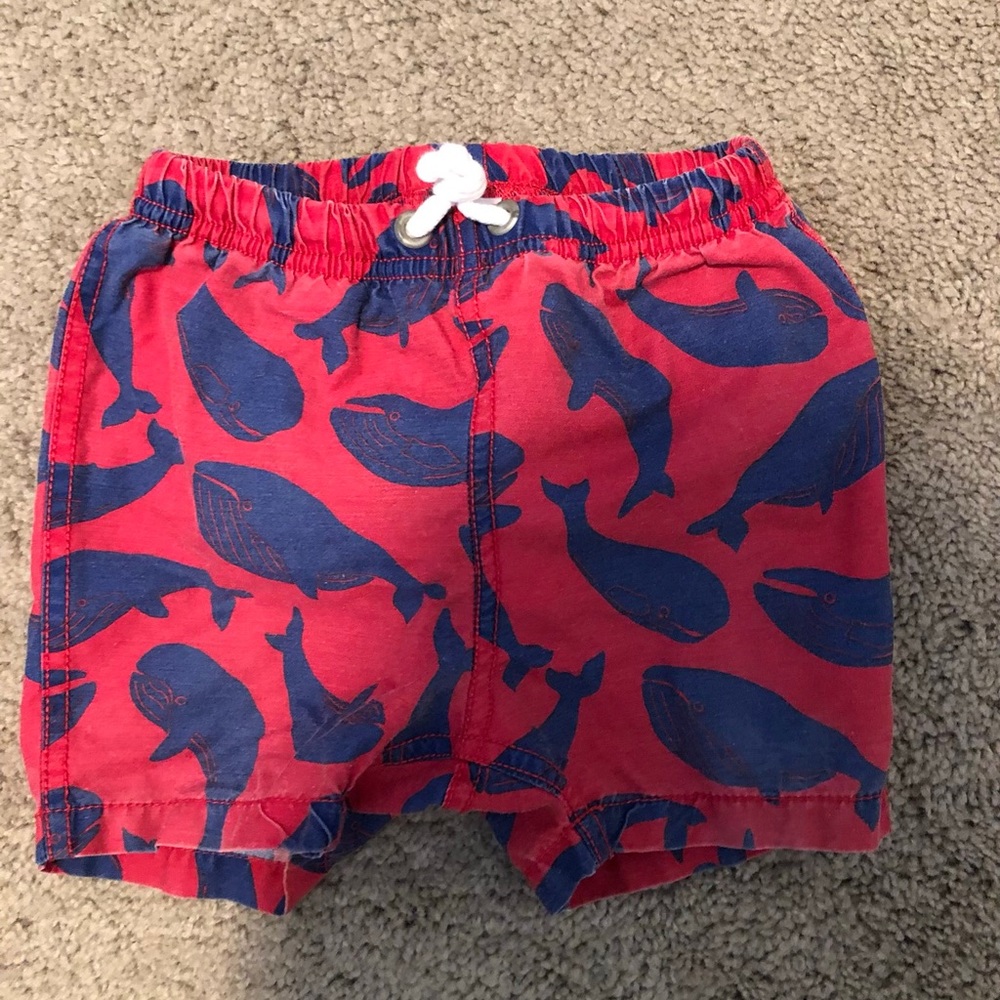 Swim Trunks